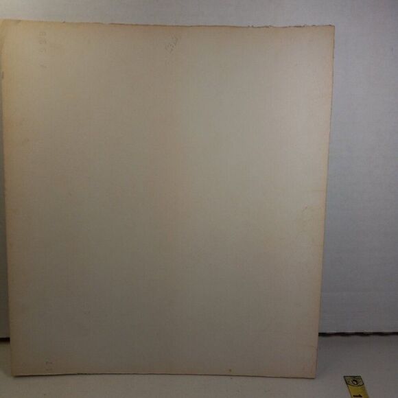 Vintage American Waterfowl Etching/Print Lynn Forehand 5 of 5 Cottagecor… - Picture 5 of 7